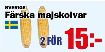 Matdax Färska majskolvar erbjuda