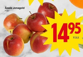 Matöppet Äpple jonagold erbjuda