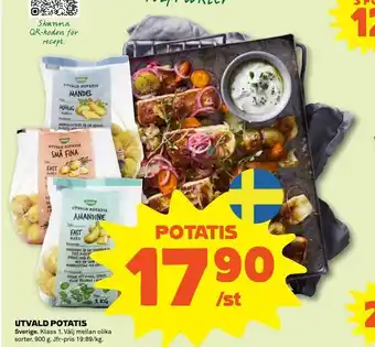 Potatis