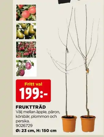 Jem&Fix Vida fruktträd erbjuda