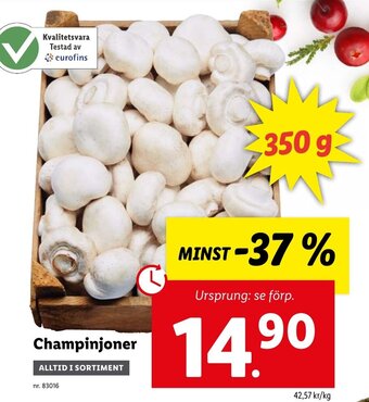 Lidl Champinjoner erbjuda