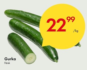 Snabbgross Gurka erbjuda