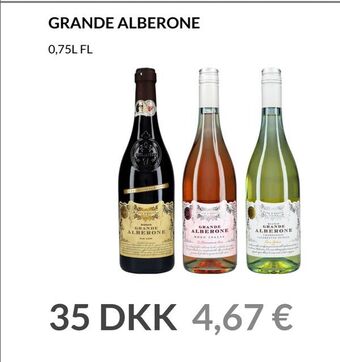 Nielsen Discount Grande alberone erbjuda