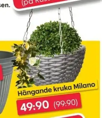 Hängande kruka Milano
