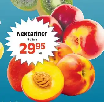Nektariner