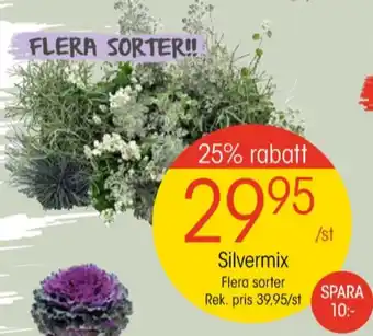 EKO Aquafresh blommor erbjuda