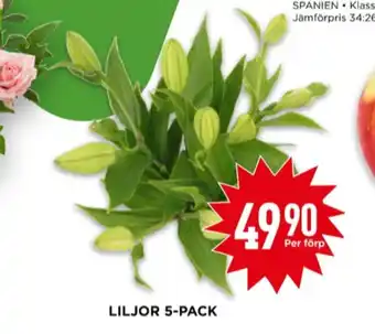 Best friend blommor