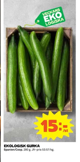 Coop Coop gurka erbjuda