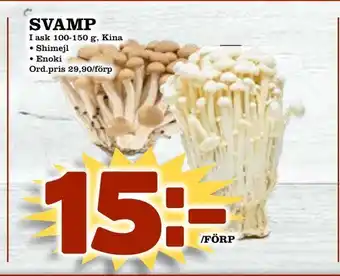 Svamp