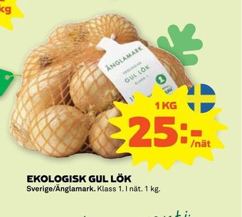 Stora Coop Ekologisk gul lök erbjuda