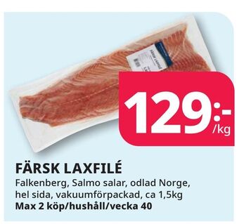 Färsk laxfilé