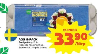 Coop Ägg 12-pack erbjuda