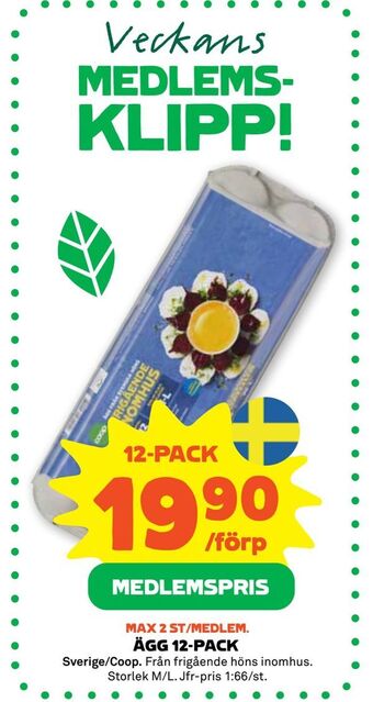 Stora Coop Ägg 12-pack erbjuda