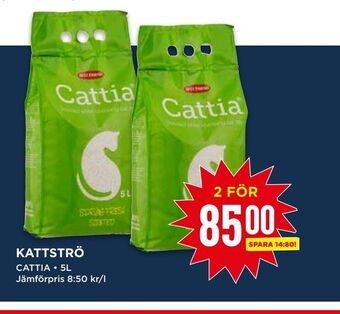 Kattströ