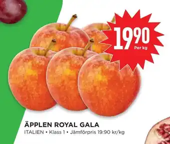 Willys Hemma Äpplen royal gala erbjuda