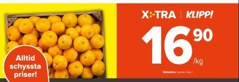 Coop Extra Satsumas erbjuda