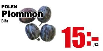 Matdax Plommon erbjuda