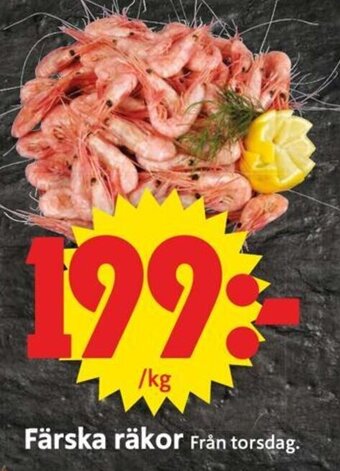 Färska Räkor