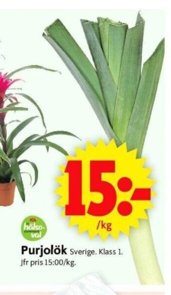 ICA Supermarket Purjolök erbjuda