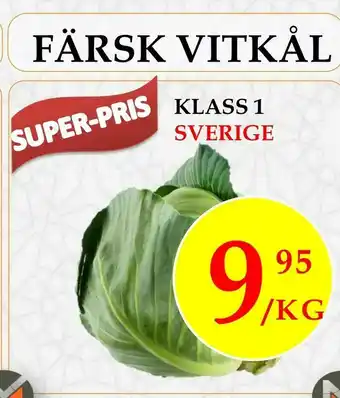 Färsk vitkål