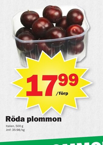 Pekås Röda Plommon erbjuda