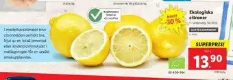 Ekologiska citroner 500g