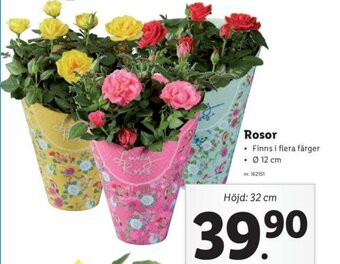 Lidl Rosor erbjuda