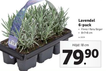 Lidl lavendel 6-pack erbjuda