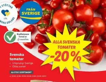 Lidl Svenska Tomater erbjuda