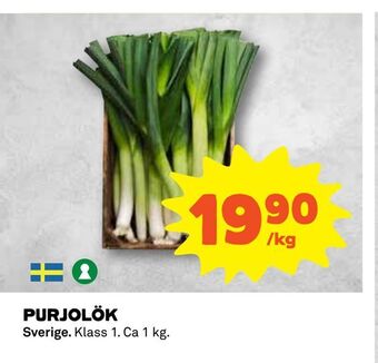 Purjolök