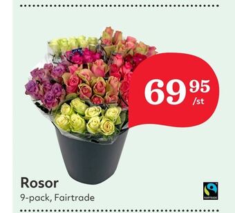 Hemköp Rosor erbjuda