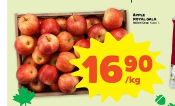 Stora Coop Äpple royal gala erbjuda