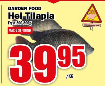 Matdax Hel tilapia erbjuda