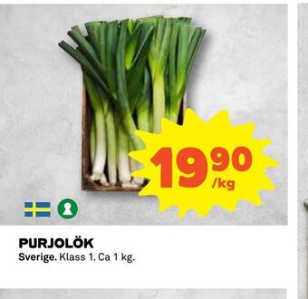 Coop Purjolök erbjuda