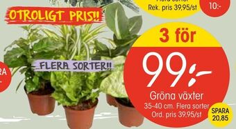 EKO Gröna växter erbjuda