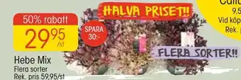 EKO Hebe mix erbjuda