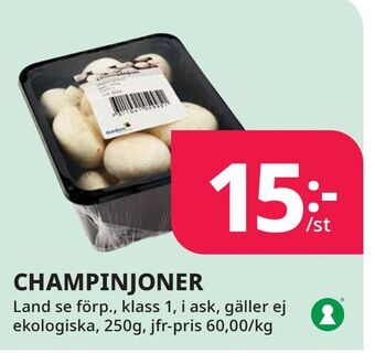 Tempo Champinjoner erbjuda