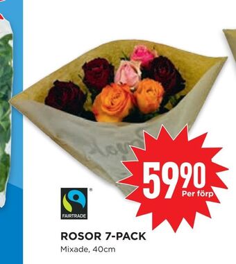 Willys Rosor 7-pack erbjuda