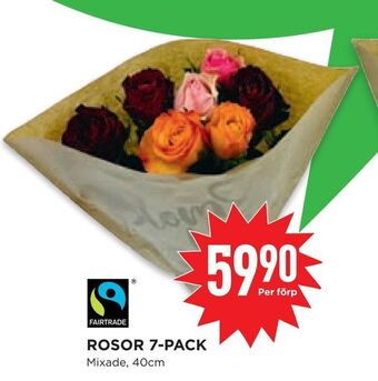 Willys Hemma Rosor 7-pack erbjuda