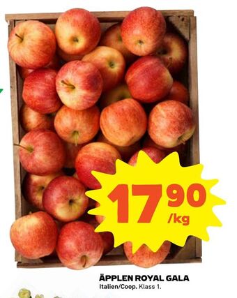 Coop Äpplen royal gala erbjuda