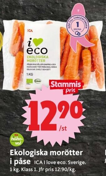 Ekologiska Morötter i Påse
