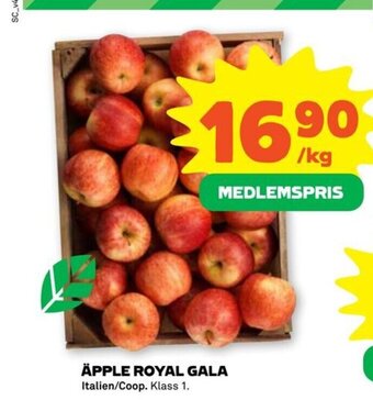 Stora Coop Äpple Royal Gala erbjuda