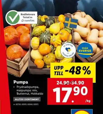Lidl Pumpa erbjuda