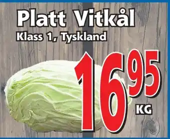 Supergrossen Platt vitkål erbjuda