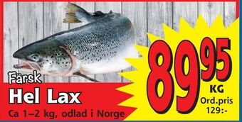 Supergrossen Hel lax erbjuda