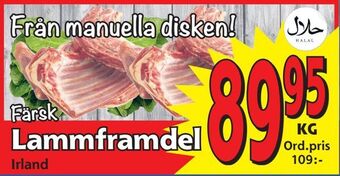 Supergrossen Lammframdel erbjuda