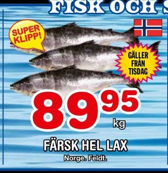 Nya Pulsen Färsk hel lax erbjuda