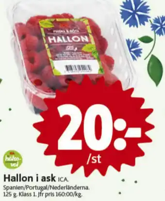 ICA Nära Driscolls Hallon erbjuda