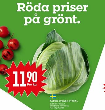 Vitkål