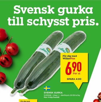 Willys Odlarna.se Gurka erbjuda